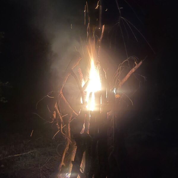 WhatsApp Image 2026-01-21 at 20.01.24