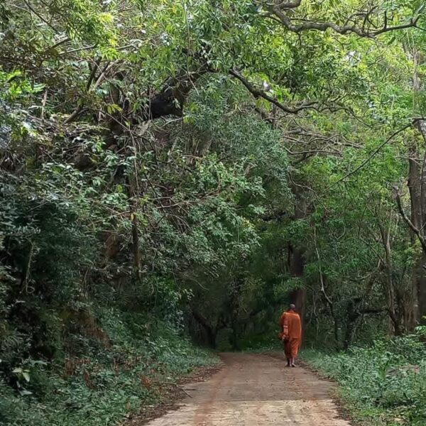 WhatsApp Image 2026-01-21 at 20.01.26 (1)