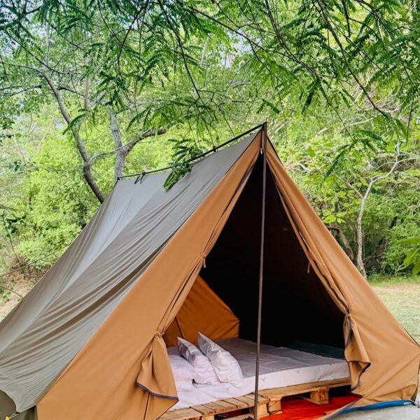 WhatsApp Image 2026-01-21 at 20.04.37