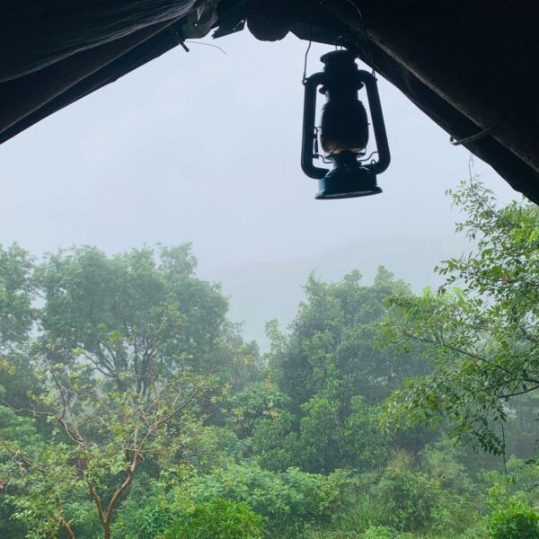 WhatsApp Image 2026-01-21 at 20.15.23