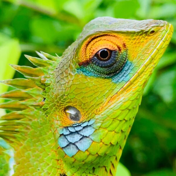 WhatsApp Image 2026-01-21 at 20.15.28