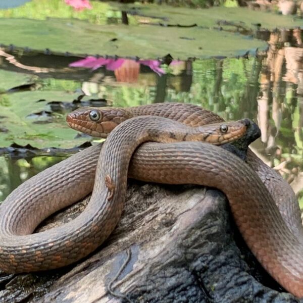 WhatsApp Image 2026-01-21 at 20.15.30 (1)