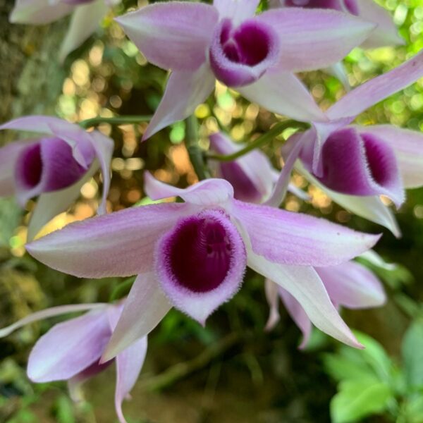 WhatsApp Image 2026-01-21 at 20.15.31