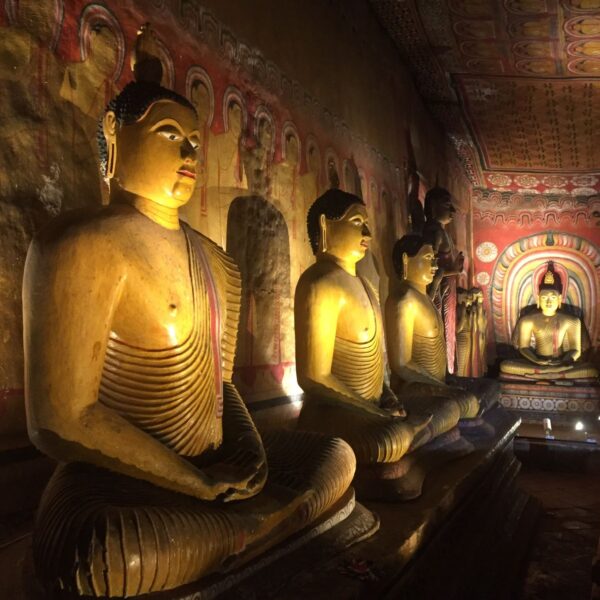 WhatsApp Image 2026-01-21 at 20.15.32